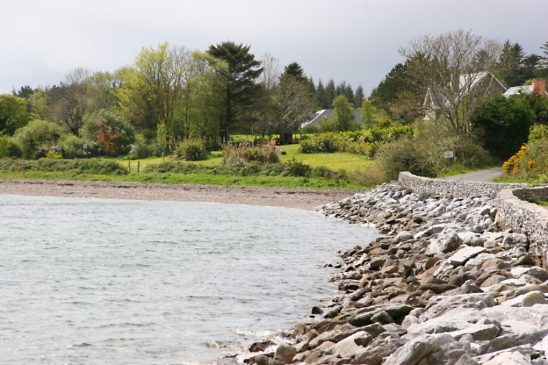 Countryside Ireland 8.jpg